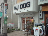 街情報犬の美容院江古田・ＶＪ　ＤＯＧ