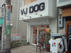 街情報犬の美容院・ＶＪ　ＤＯＧ